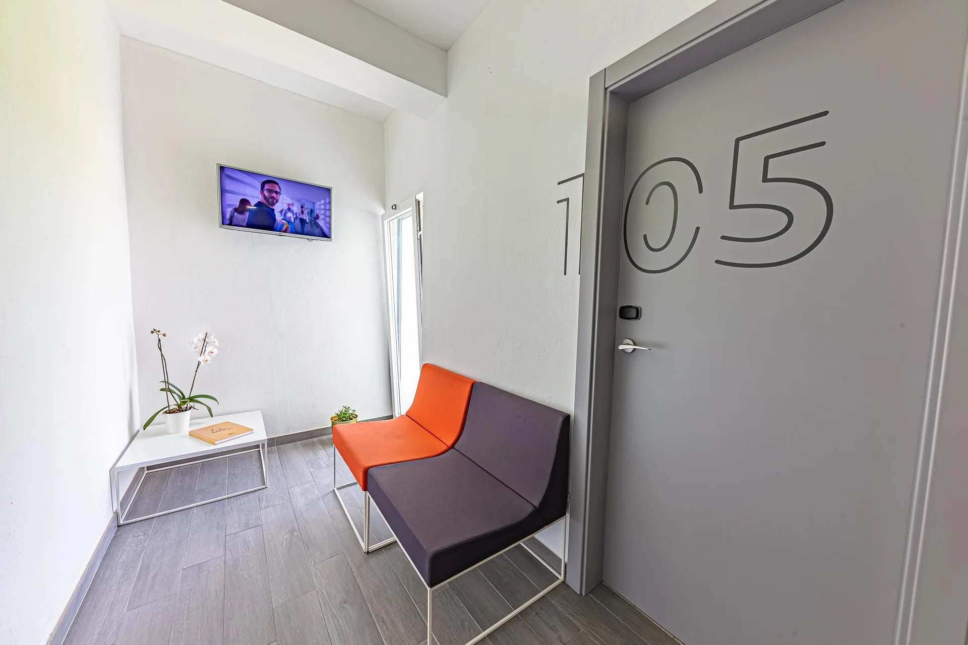 Lounge and TV room
